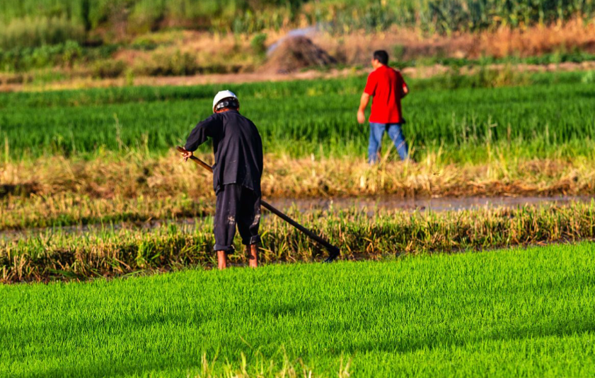 山河新篇：转型与共生——湖南农民工与珠三角产业数智化协同发展新路径