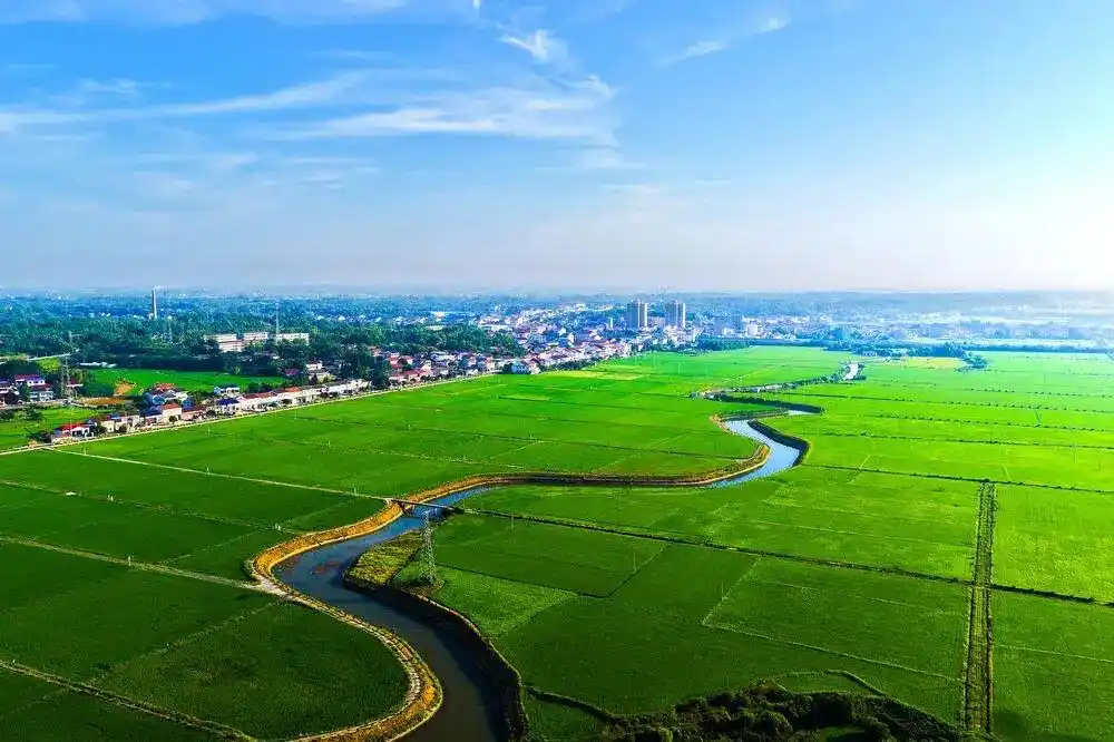 王超：以地域文化之笔 绘就湖南高质量发展新图景